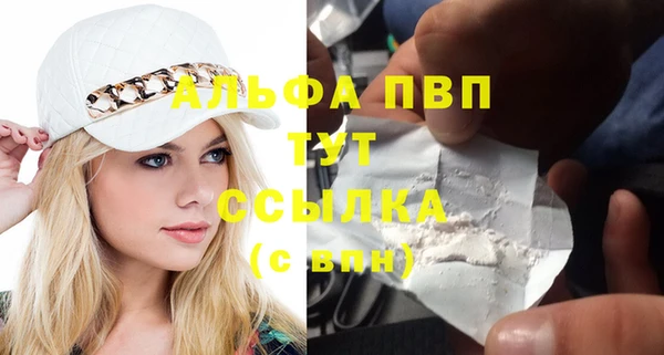 mdpv Богданович