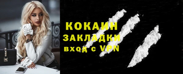 стафф Богородицк