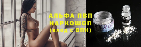 стафф Богородицк