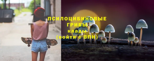стафф Богородицк