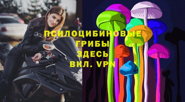 стафф Богородицк