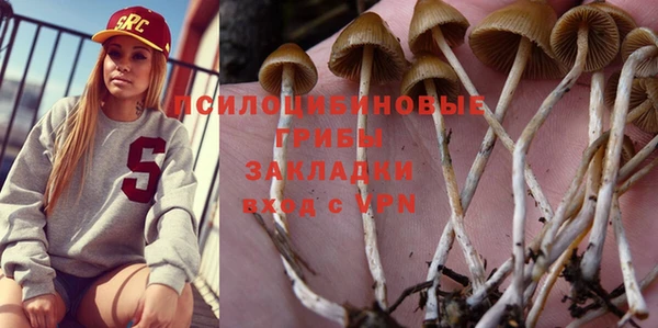 mdpv Богданович