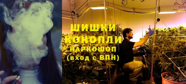 mdpv Богданович
