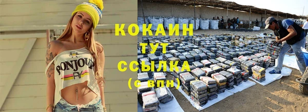 mdpv Богданович