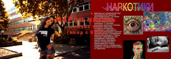mdpv Богданович