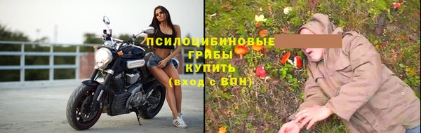 mdpv Богданович