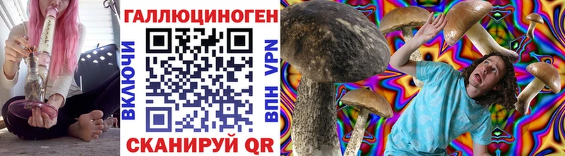 MEGA зеркало  Михайлов  Галлюциногенные грибы GOLDEN TEACHER 